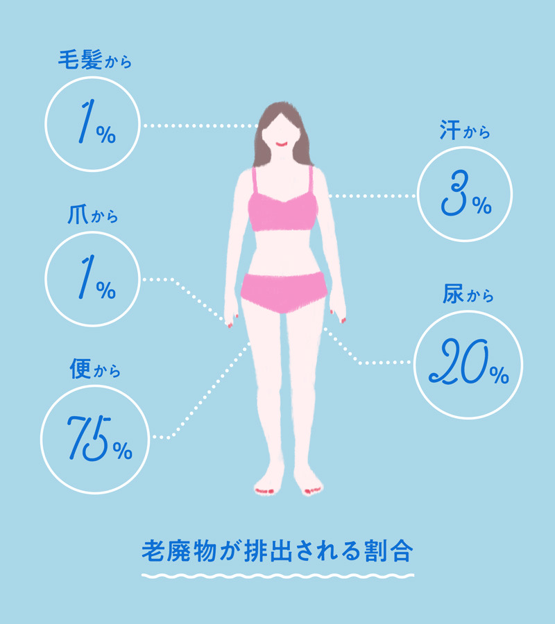 2025年年末年始の暴飲暴食に小腸のデトックスのススメ