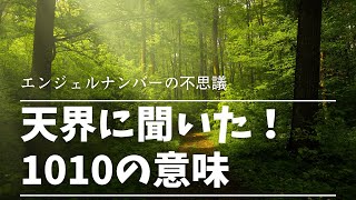 【天界に聞いた！】エンジェルナンバー1010を見たら起こる事